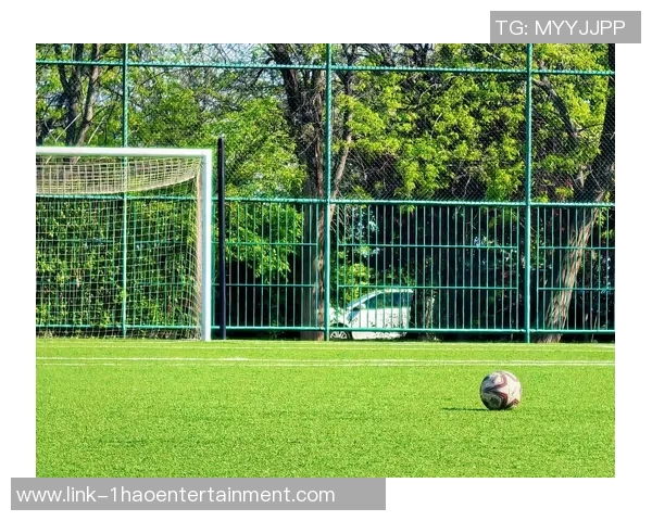 足球音音：探索足球世界的声音与激情，感受赛场上的每一次心跳与呐喊